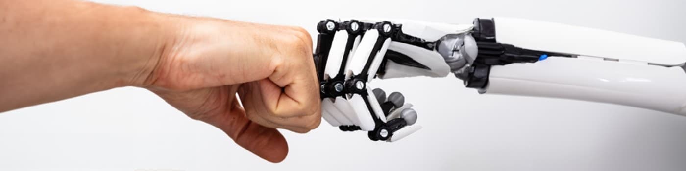 Human and AI interaction